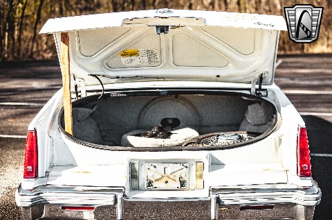 1979 Cadillac Eldorado image 100