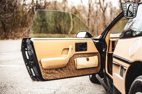 1987 Pontiac Fiero image 97