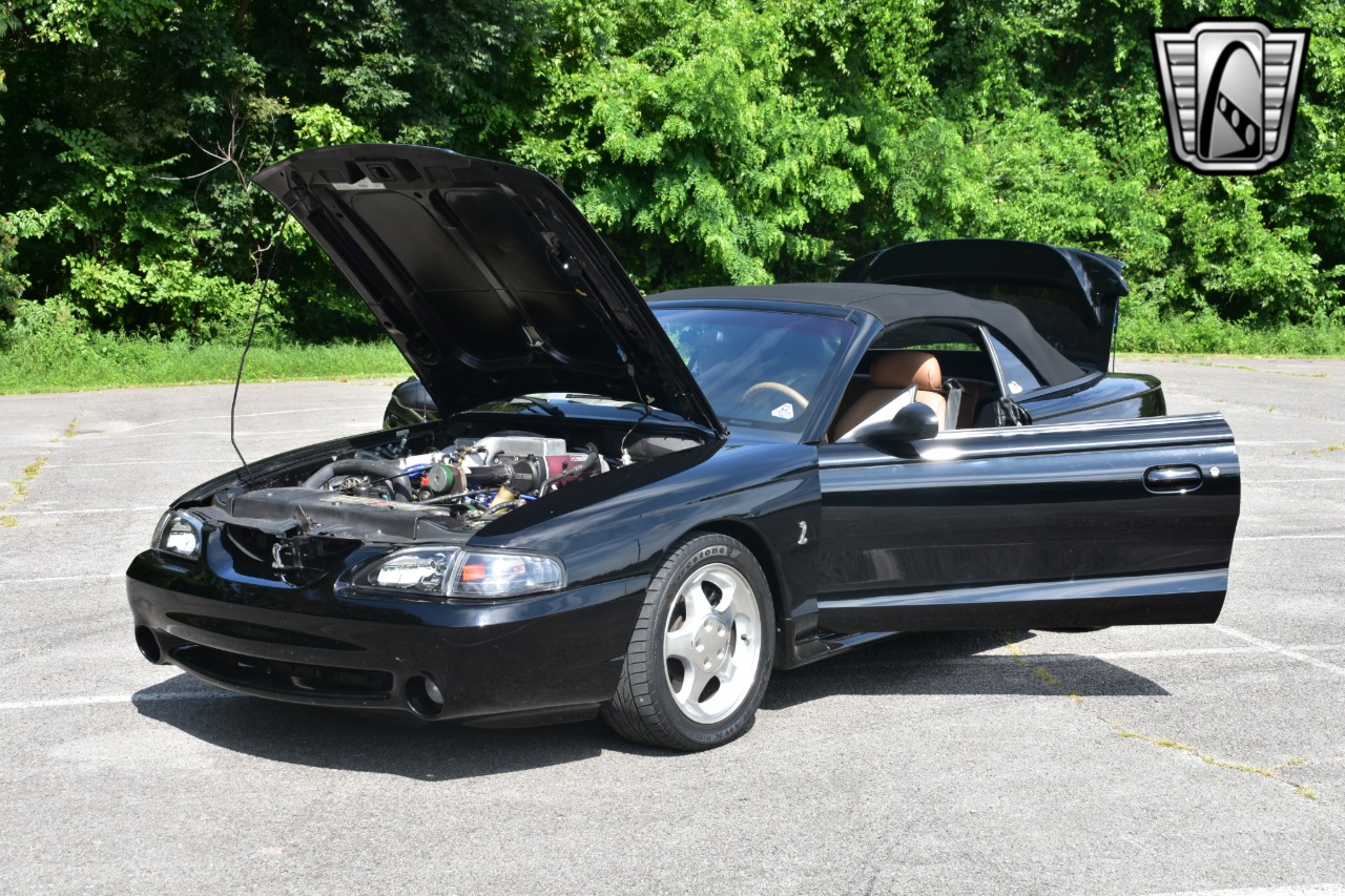 1995 Ford Mustang SVT Cobra 6