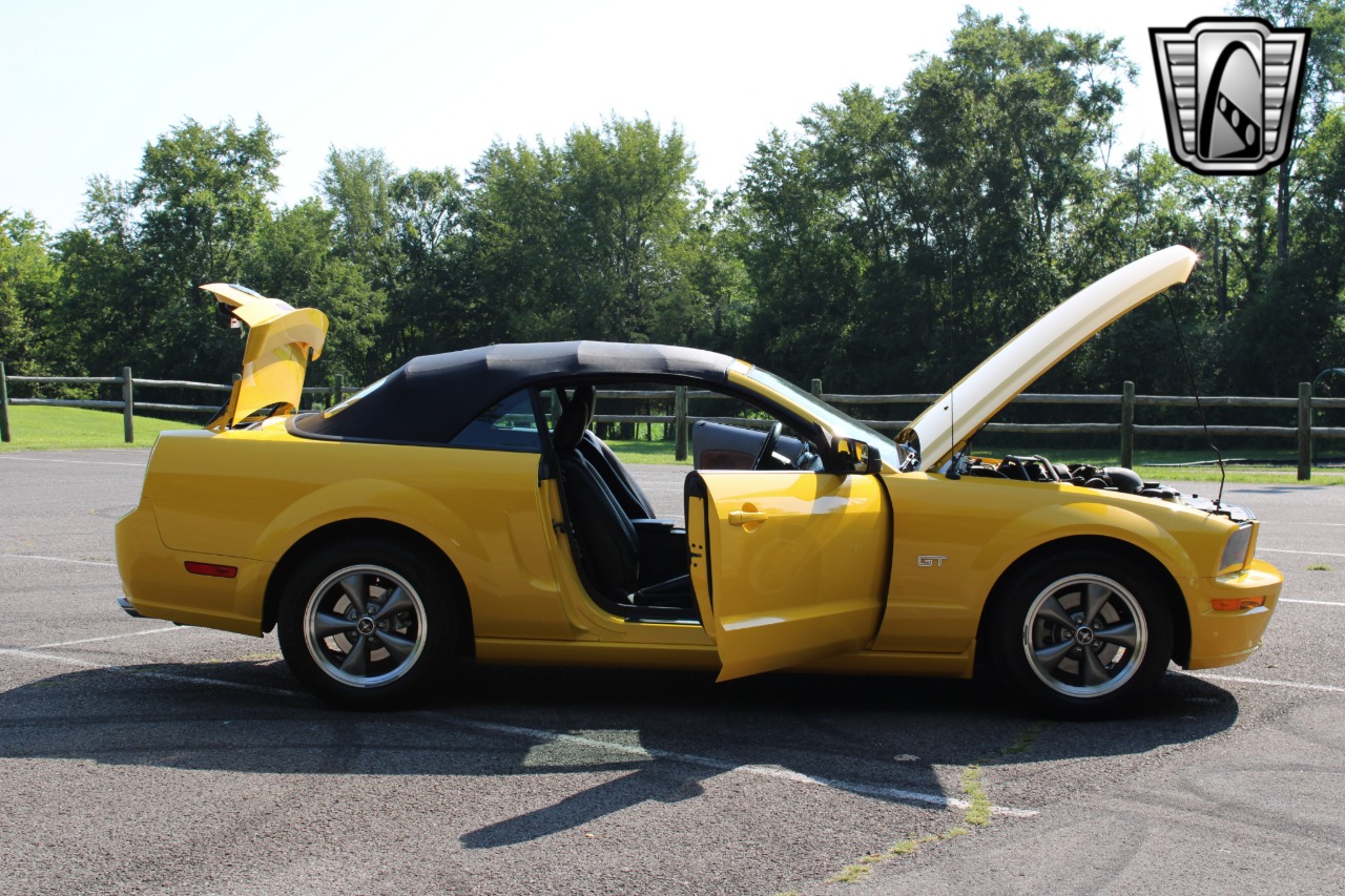 2006 Ford Mustang 46