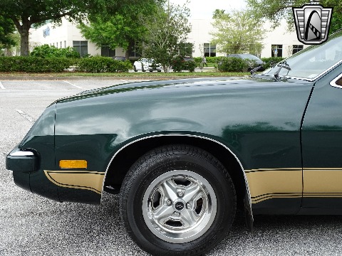 1976 Oldsmobile Starfire image 30