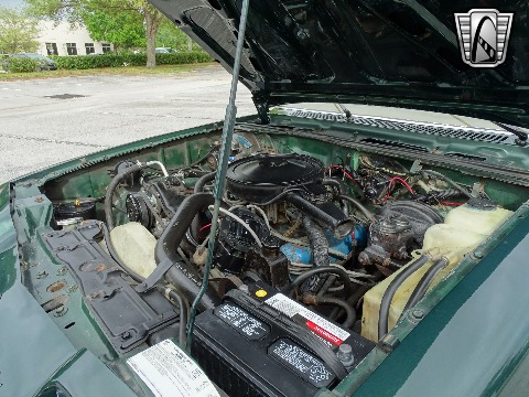 1976 Oldsmobile Starfire image 109