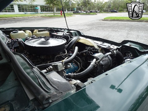 1976 Oldsmobile Starfire image 113