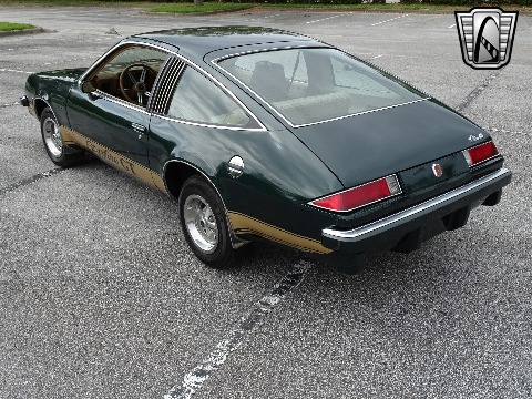 1976 Oldsmobile Starfire image 13