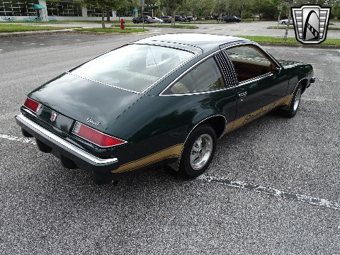 1976 Oldsmobile Starfire image 19