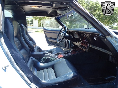 1979 Chevrolet Corvette image 108