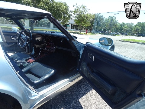 1979 Chevrolet Corvette image 109