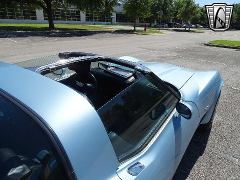 1979 Chevrolet Corvette image 94