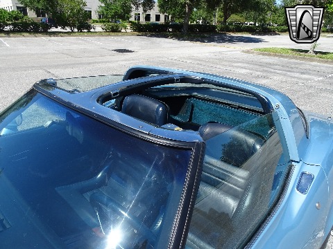 1979 Chevrolet Corvette image 96