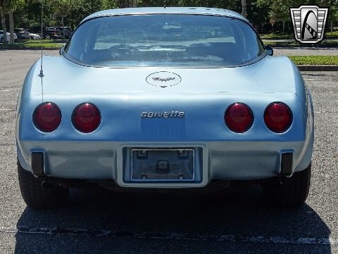 1979 Chevrolet Corvette image 19