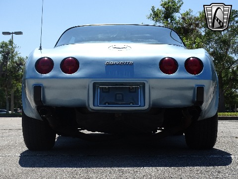 1979 Chevrolet Corvette image 20