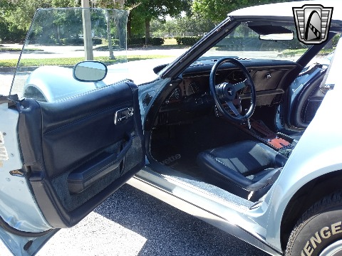 1979 Chevrolet Corvette image 98