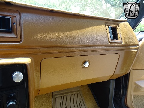 1979 Chevrolet El Camino image 107