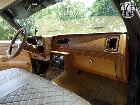 1979 Chevrolet El Camino image 108