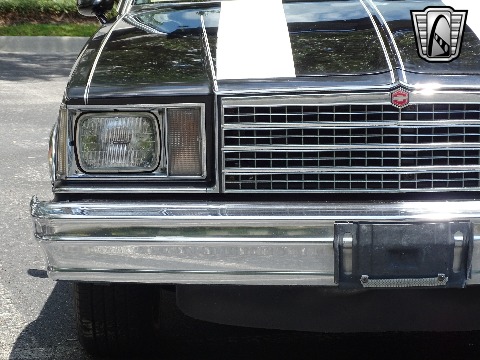 1979 Chevrolet El Camino image 31