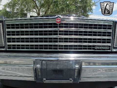 1979 Chevrolet El Camino image 57