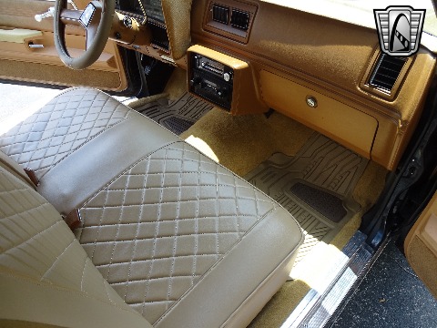 1979 Chevrolet El Camino image 109