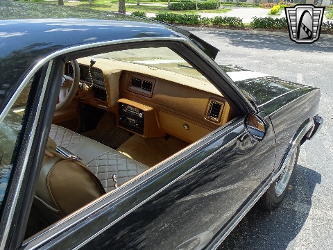 1979 Chevrolet El Camino image 84