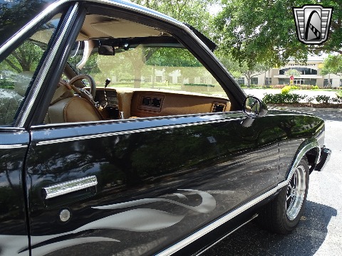 1979 Chevrolet El Camino image 85