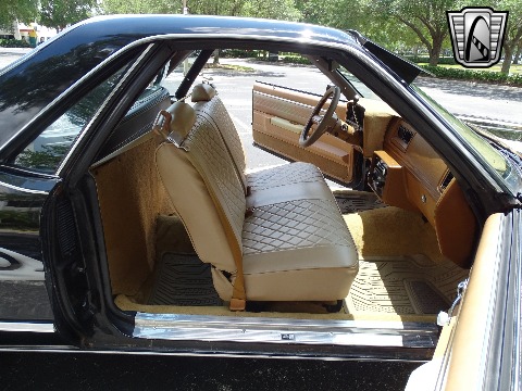 1979 Chevrolet El Camino image 111