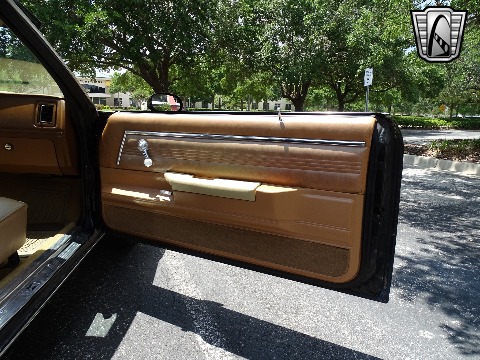 1979 Chevrolet El Camino image 113