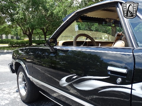 1979 Chevrolet El Camino image 63