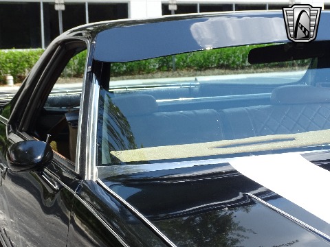 1979 Chevrolet El Camino image 90