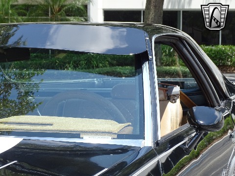 1979 Chevrolet El Camino image 91