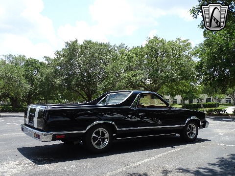 1979 Chevrolet El Camino image 96