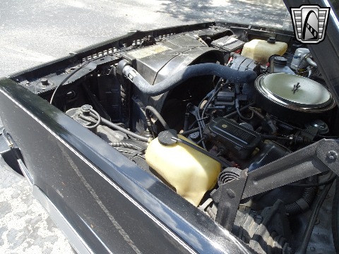 1979 Chevrolet El Camino image 122