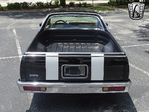 1979 Chevrolet El Camino image 19