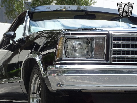 1979 Chevrolet El Camino image 45