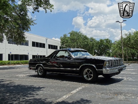 1979 Chevrolet El Camino image 97