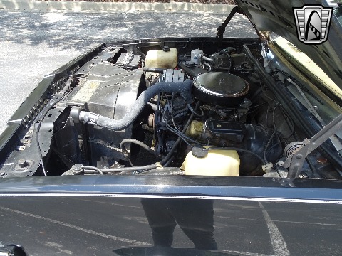 1979 Chevrolet El Camino image 123