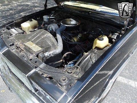 1979 Chevrolet El Camino image 124