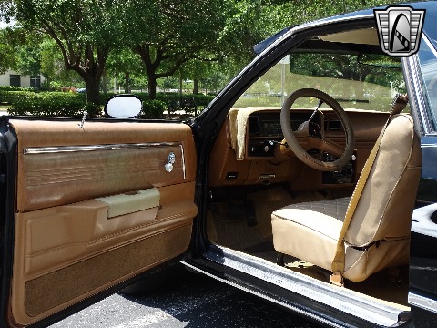 1979 Chevrolet El Camino image 99
