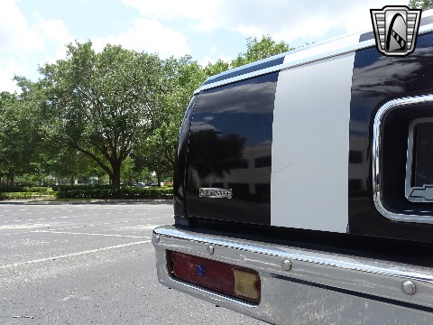 1979 Chevrolet El Camino image 74