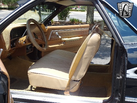 1979 Chevrolet El Camino image 100