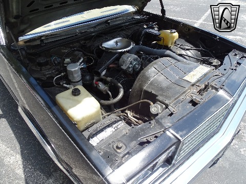 1979 Chevrolet El Camino image 126