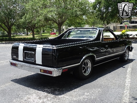 1979 Chevrolet El Camino image 23