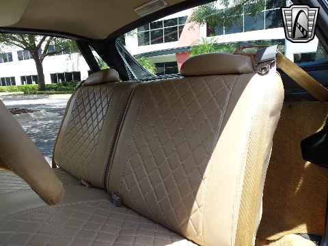 1979 Chevrolet El Camino image 101