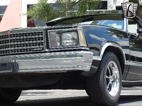 1979 Chevrolet El Camino image 50