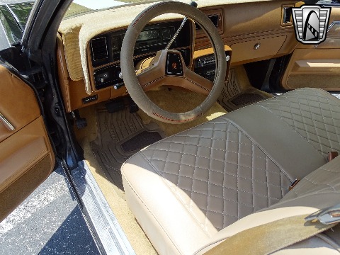 1979 Chevrolet El Camino image 102