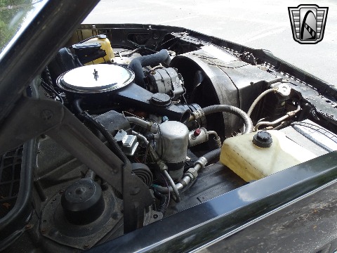 1979 Chevrolet El Camino image 128