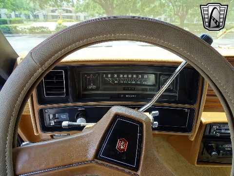 1979 Chevrolet El Camino image 103