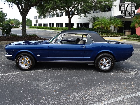 1966 Ford Mustang image 12