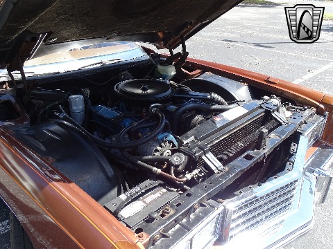 1978 Cadillac Eldorado image 135