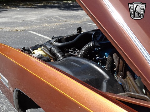 1978 Cadillac Eldorado image 131