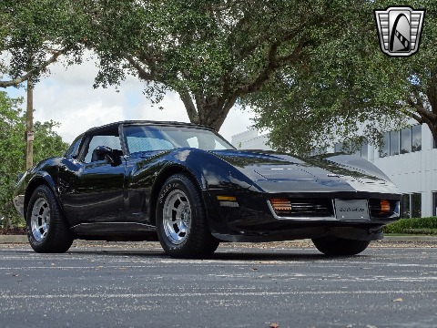 1980 Chevrolet Corvette image 29