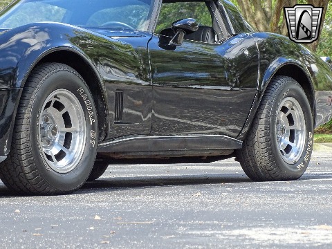 1980 Chevrolet Corvette image 55